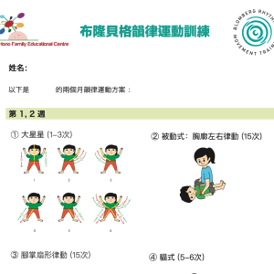 BRMT 動作方案
